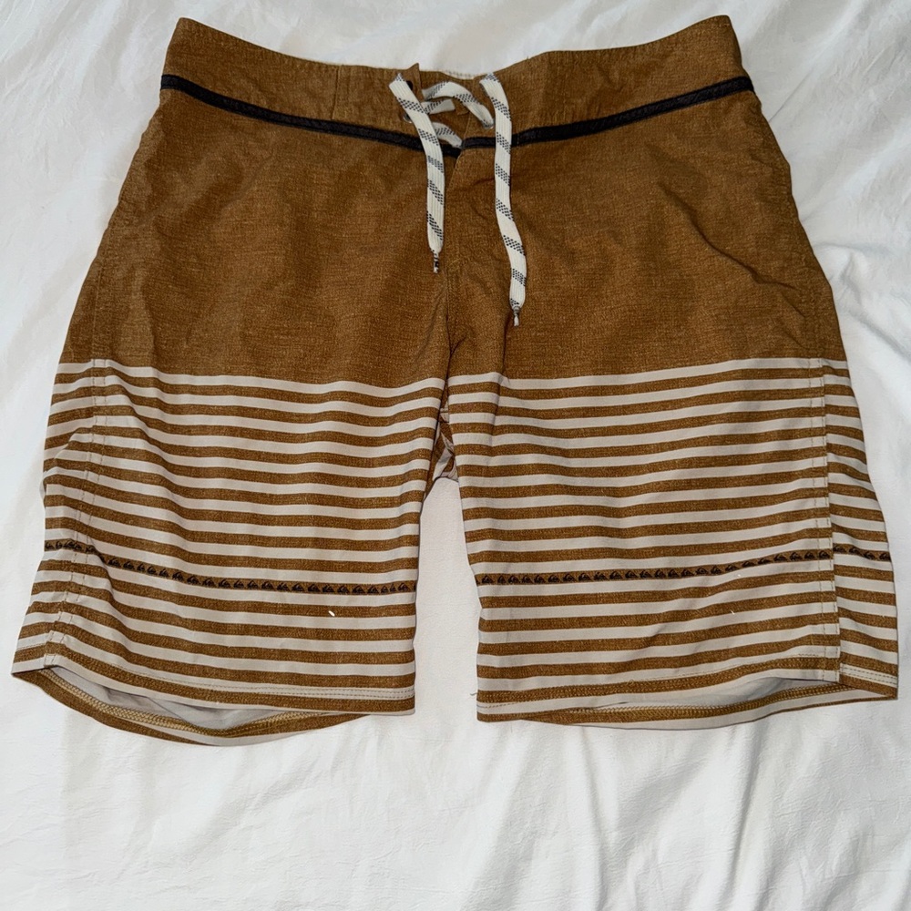 Quicksilver Men's Brown Striped Board Shorts